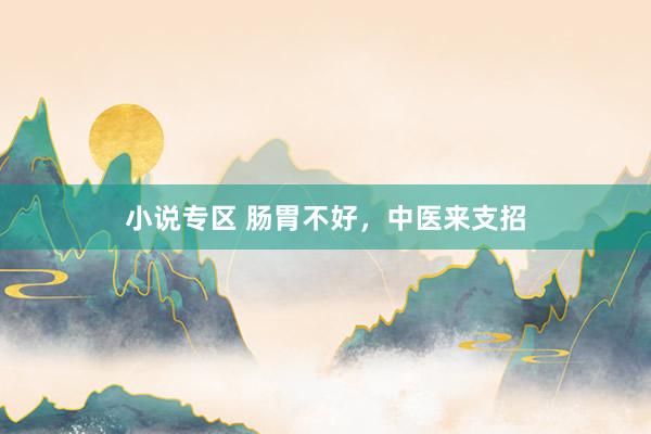 小说专区 肠胃不好，中医来支招