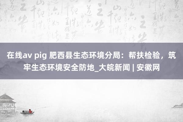 在线av pig 肥西县生态环境分局：帮扶检验，筑牢生态环境安全防地_大皖新闻 | 安徽网
