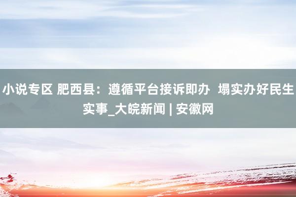小说专区 肥西县：遵循平台接诉即办  塌实办好民生实事_大皖新闻 | 安徽网