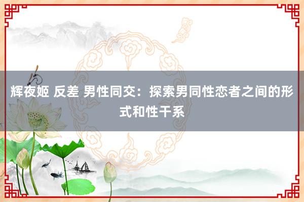 辉夜姬 反差 男性同交：探索男同性恋者之间的形式和性干系