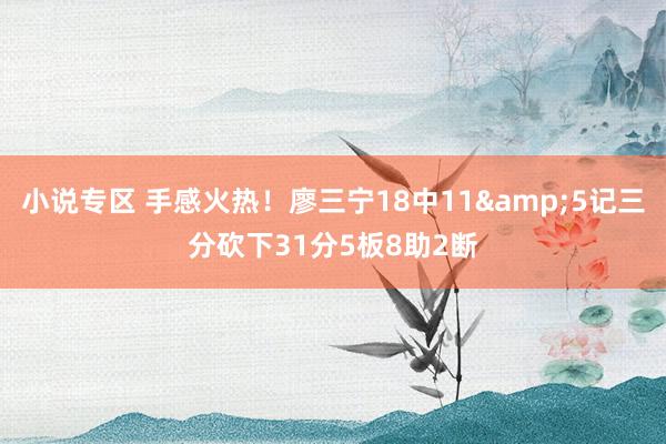小说专区 手感火热！廖三宁18中11&5记三分砍下31分5板8助2断