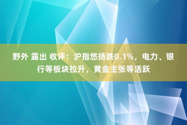 野外 露出 收评：沪指悠扬跌0.1%，电力、银行等板块拉升，黄金主张等活跃