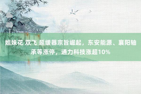 姐妹花 双飞 延缓器宗旨崛起，东安能源、襄阳轴承等涨停，通力科技涨超10%