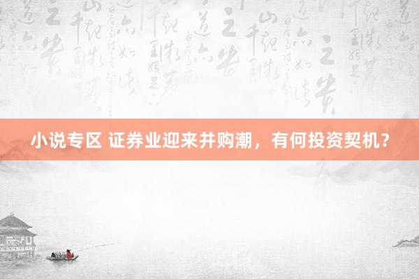 小说专区 证券业迎来并购潮，有何投资契机？