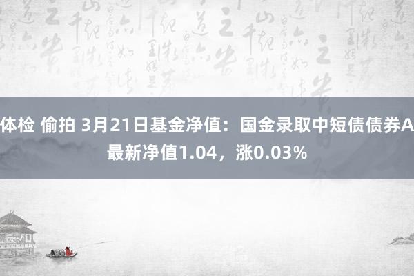体检 偷拍 3月21日基金净值：国金录取中短债债券A最新净值1.04，涨0.03%