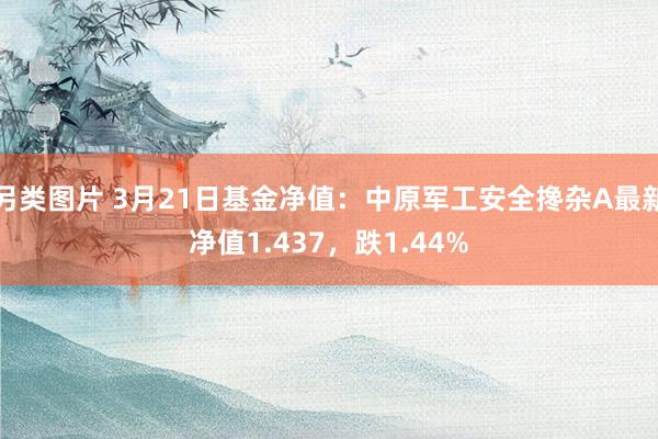 另类图片 3月21日基金净值：中原军工安全搀杂A最新净值1.437，跌1.44%