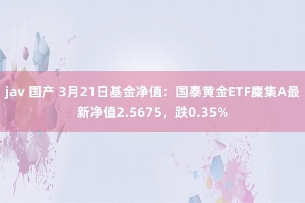 jav 国产 3月21日基金净值：国泰黄金ETF麇集A最新净值2.5675，跌0.35%