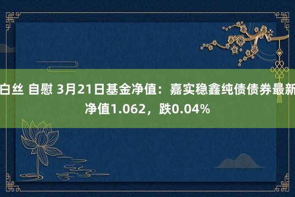 白丝 自慰 3月21日基金净值：嘉实稳鑫纯债债券最新净值1.062，跌0.04%
