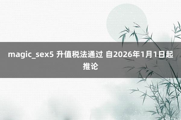 magic_sex5 升值税法通过 自2026年1月1日起推论