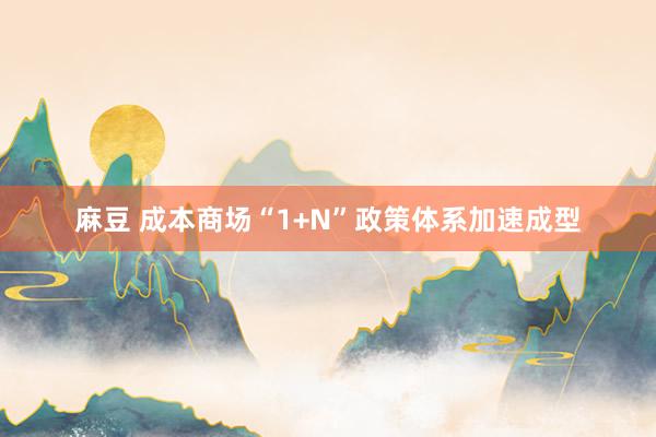 麻豆 成本商场“1+N”政策体系加速成型