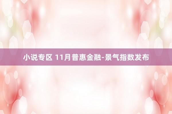 小说专区 11月普惠金融-景气指数发布