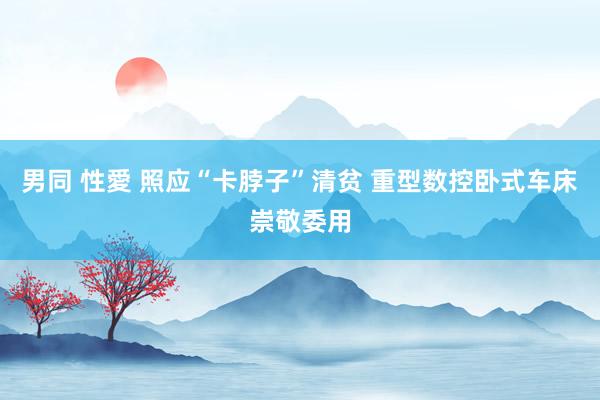 男同 性愛 照应“卡脖子”清贫 重型数控卧式车床崇敬委用