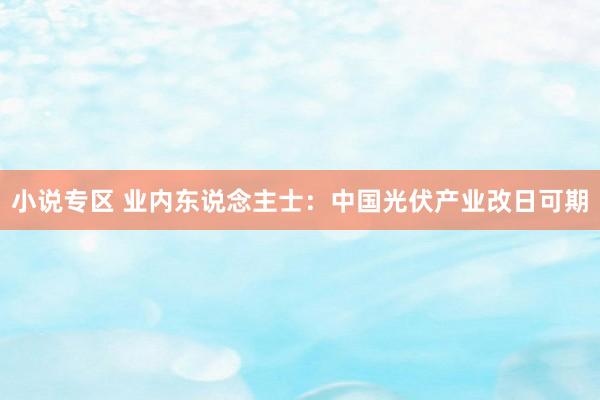 小说专区 业内东说念主士：中国光伏产业改日可期