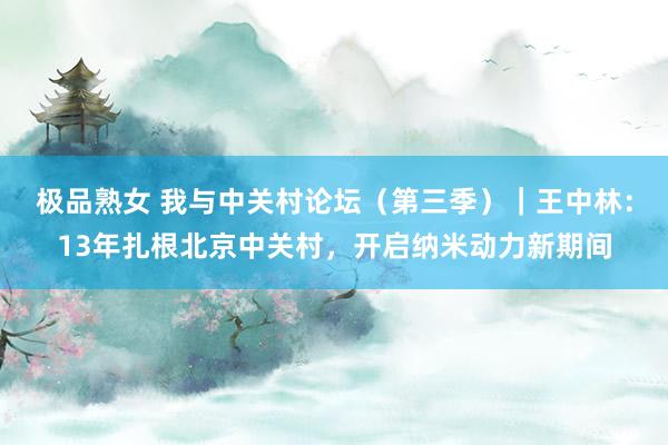 极品熟女 我与中关村论坛（第三季）｜王中林：13年扎根北京中关村，开启纳米动力新期间