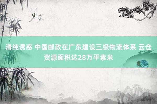 清纯诱惑 中国邮政在广东建设三级物流体系 云仓资源面积达28万平素米