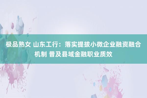 极品熟女 山东工行：落实提拔小微企业融资融合机制 普及县域金融职业质效