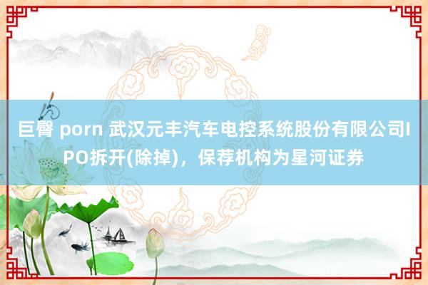 巨臀 porn 武汉元丰汽车电控系统股份有限公司IPO拆开(除掉)，保荐机构为星河证券