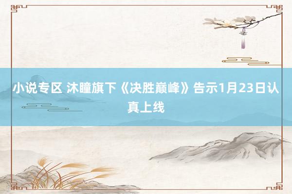 小说专区 沐瞳旗下《决胜巅峰》告示1月23日认真上线