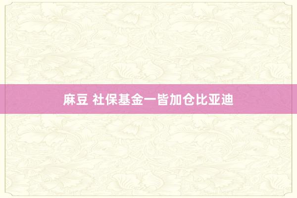 麻豆 社保基金一皆加仓比亚迪