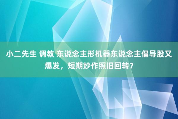 小二先生 调教 东说念主形机器东说念主倡导股又爆发，短期炒作照旧回转？