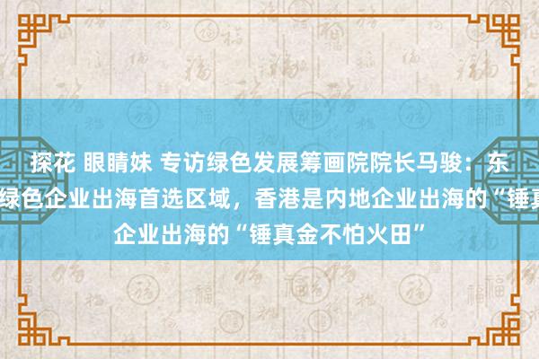 探花 眼睛妹 专访绿色发展筹画院院长马骏：东南亚成为中国绿色企业出海首选区域，香港是内地企业出海的“锤真金不怕火田”