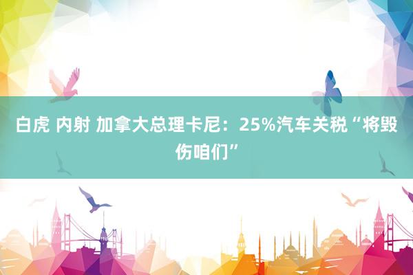 白虎 内射 加拿大总理卡尼：25%汽车关税“将毁伤咱们”