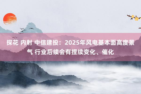 探花 内射 中信建投：2025年风电基本面高度景气 行业后续会有捏续变化、催化
