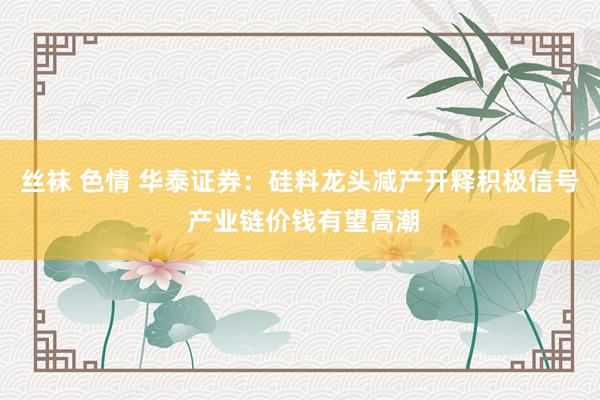 丝袜 色情 华泰证券：硅料龙头减产开释积极信号 产业链价钱有望高潮