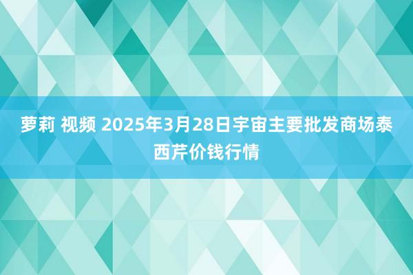 萝莉 视频 2025年3月28日宇宙主要批发商场泰西芹价钱行情
