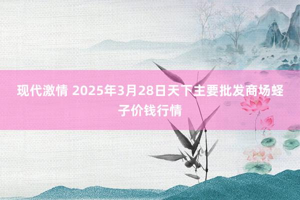现代激情 2025年3月28日天下主要批发商场蛏子价钱行情