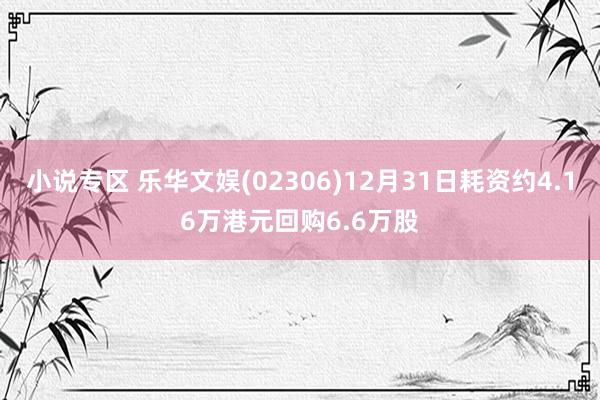 小说专区 乐华文娱(02306)12月31日耗资约4.16万港元回购6.6万股