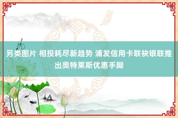 另类图片 相投耗尽新趋势 浦发信用卡联袂银联推出奥特莱斯优惠手脚