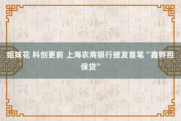 姐妹花 科创更前 上海农商银行披发首笔“鑫孵担保贷”