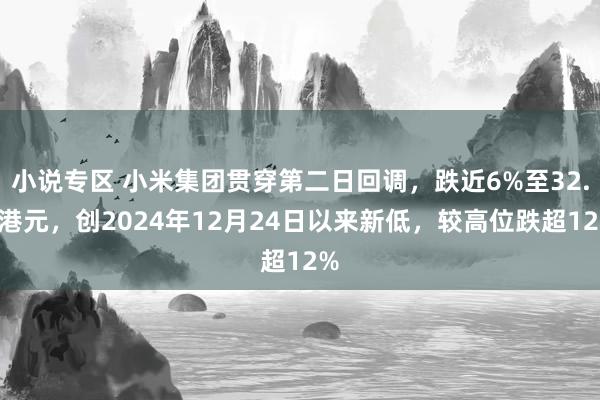小说专区 小米集团贯穿第二日回调，跌近6%至32.2港元，创2024年12月24日以来新低，较高位跌超12%