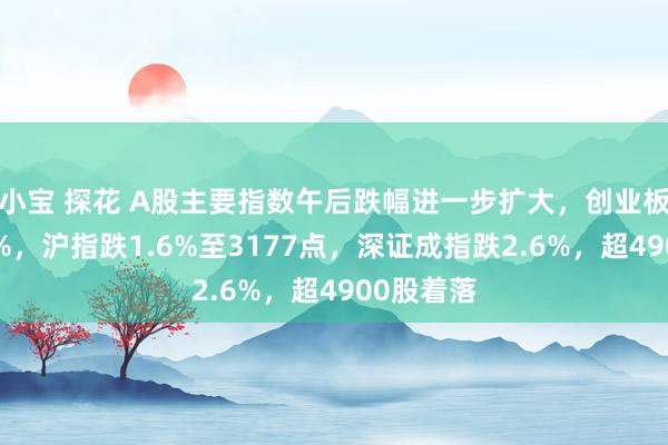 小宝 探花 A股主要指数午后跌幅进一步扩大，创业板指跌超3%，沪指跌1.6%至3177点，深证成指跌2.6%，超4900股着落