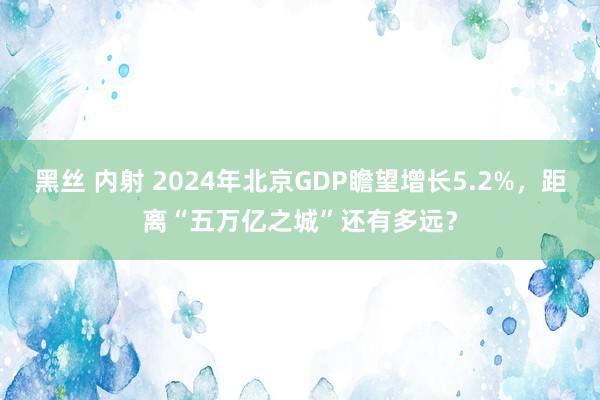 黑丝 内射 2024年北京GDP瞻望增长5.2%，距离“五万亿之城”还有多远？