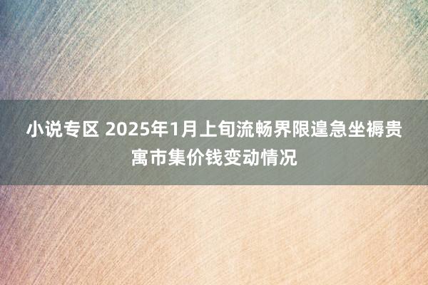小说专区 2025年1月上旬流畅界限遑急坐褥贵寓市集价钱变动情况