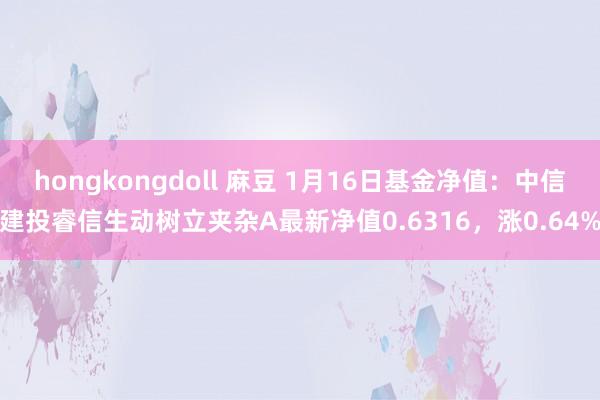 hongkongdoll 麻豆 1月16日基金净值：中信建投睿信生动树立夹杂A最新净值0.6316，涨0.64%