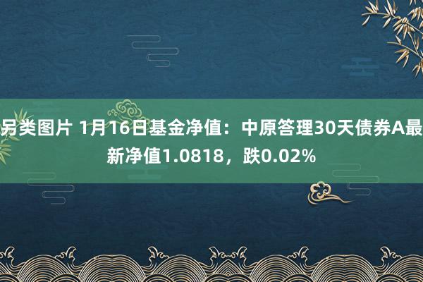 另类图片 1月16日基金净值：中原答理30天债券A最新净值1.0818，跌0.02%