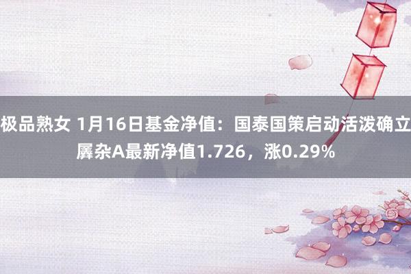 极品熟女 1月16日基金净值：国泰国策启动活泼确立羼杂A最新净值1.726，涨0.29%