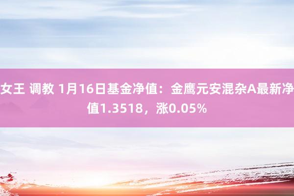 女王 调教 1月16日基金净值：金鹰元安混杂A最新净值1.3518，涨0.05%
