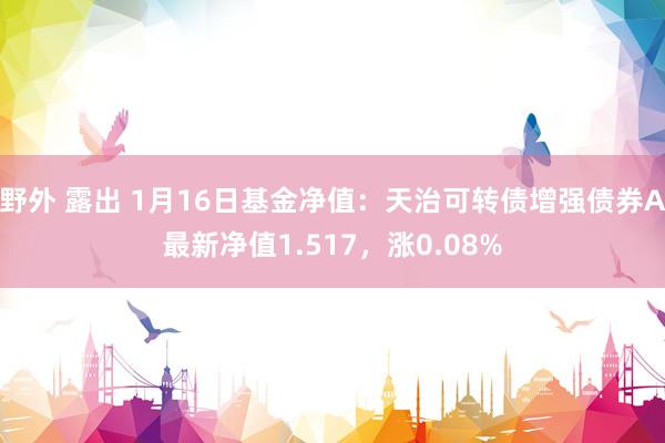 野外 露出 1月16日基金净值：天治可转债增强债券A最新净值1.517，涨0.08%