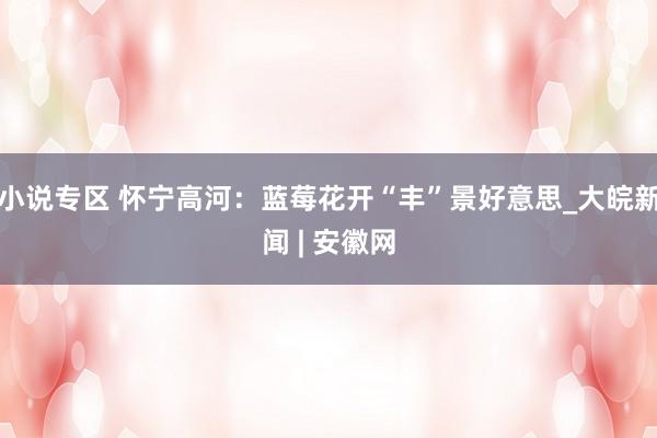小说专区 怀宁高河：蓝莓花开“丰”景好意思_大皖新闻 | 安徽网