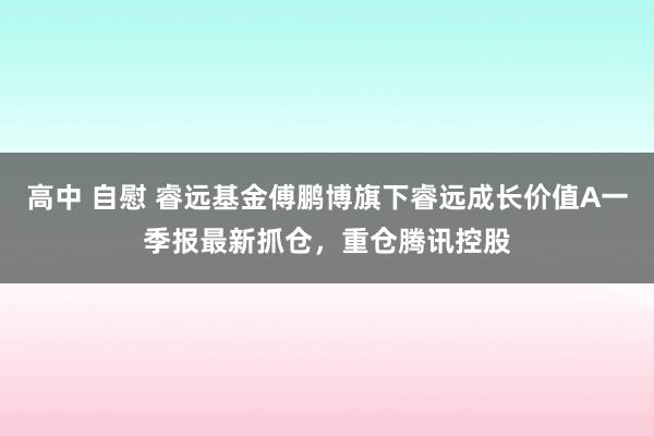高中 自慰 睿远基金傅鹏博旗下睿远成长价值A一季报最新抓仓，重仓腾讯控股