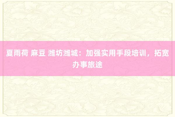 夏雨荷 麻豆 潍坊潍城:加强实用手段培训,拓宽办事旅途