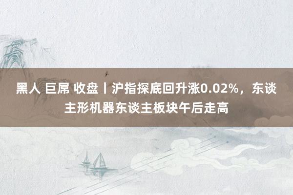 黑人 巨屌 收盘丨沪指探底回升涨0.02%，东谈主形机器东谈主板块午后走高