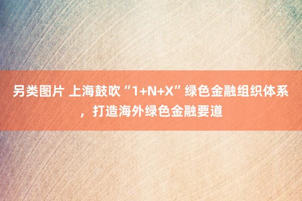 另类图片 上海鼓吹“1+N+X”绿色金融组织体系，打造海外绿色金融要道