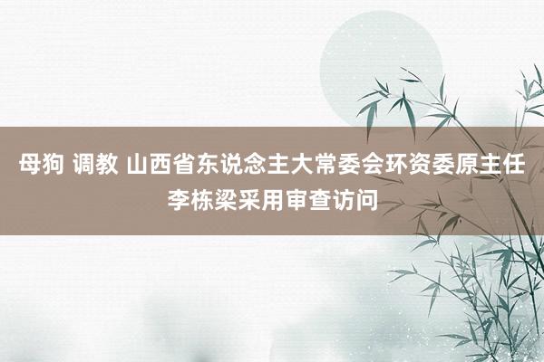 母狗 调教 山西省东说念主大常委会环资委原主任李栋梁采用审查访问