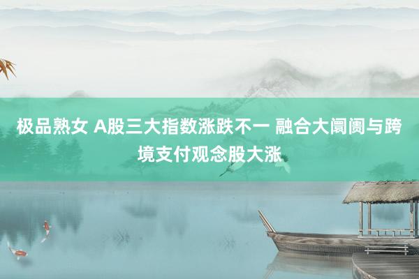 极品熟女 A股三大指数涨跌不一 融合大阛阓与跨境支付观念股大涨