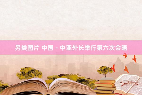 另类图片 中国－中亚外长举行第六次会晤